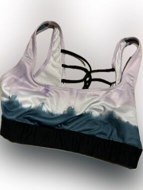 Women's Ombre Pink Sports Bra - Lavender to Teal with Black Band
